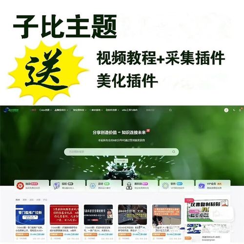 自动采集网创wordpress插件子比主题 图1